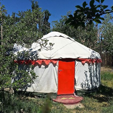 Arista Yurt Camp Hotel Karakol Cameră foto