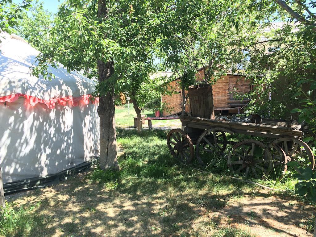 Arista Yurt Camp Hotel Karakol Cameră foto